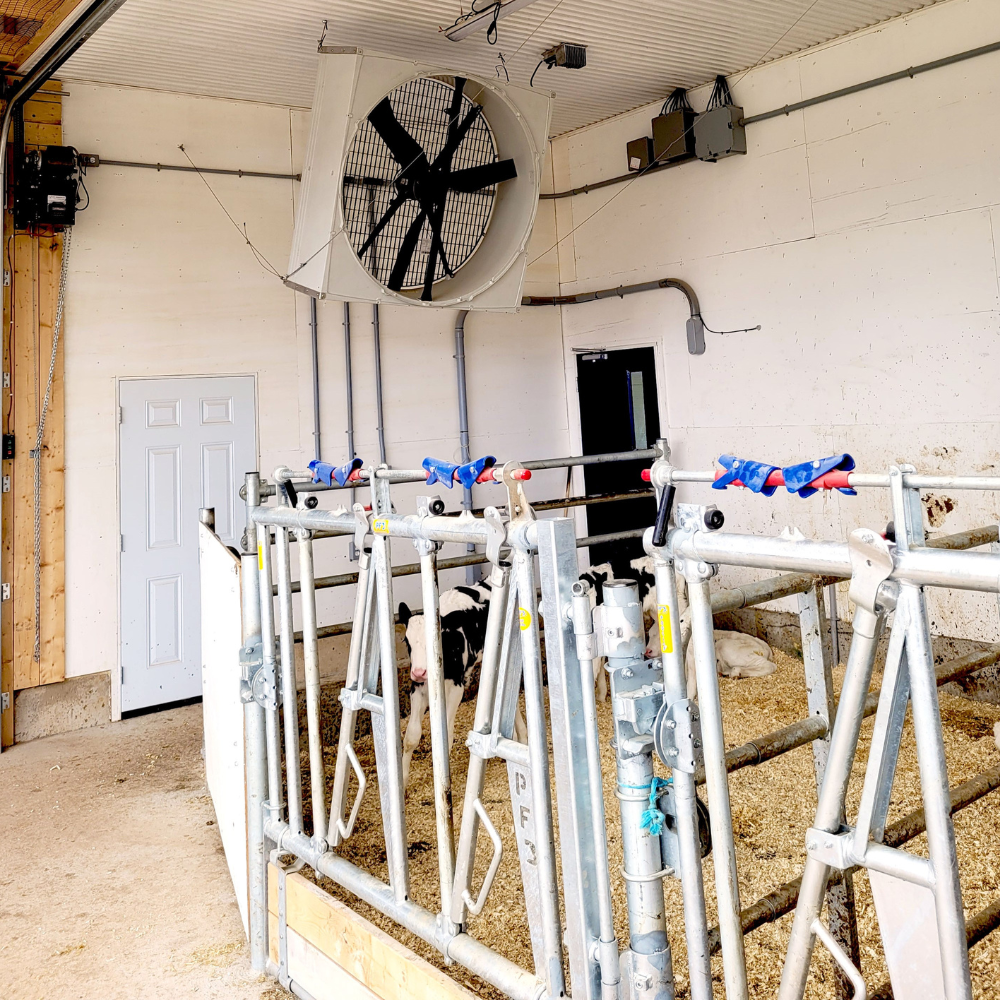 Ventilators BF 50 SuperFlow